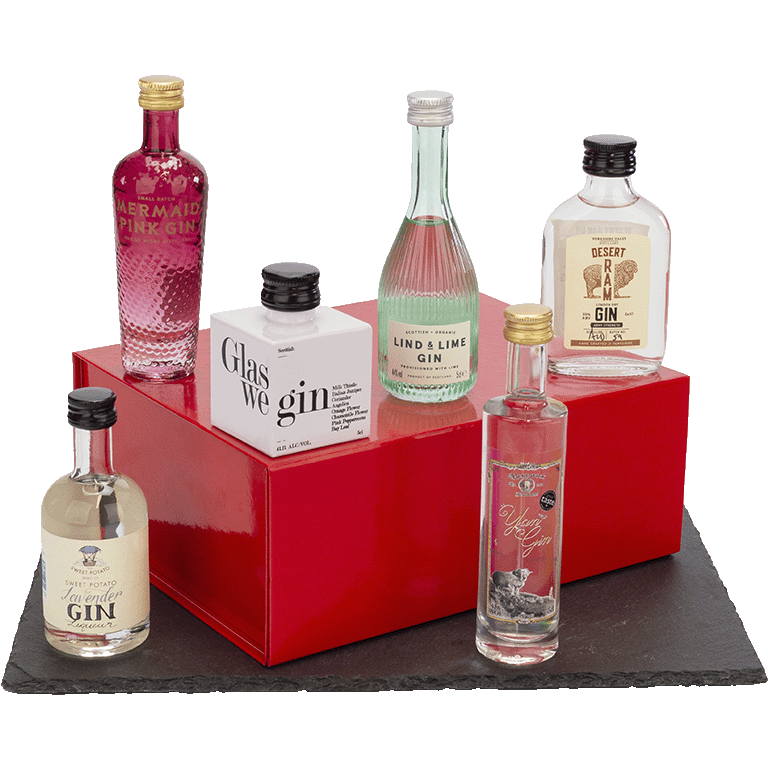 Assorted 6x Miniature Gins Gin