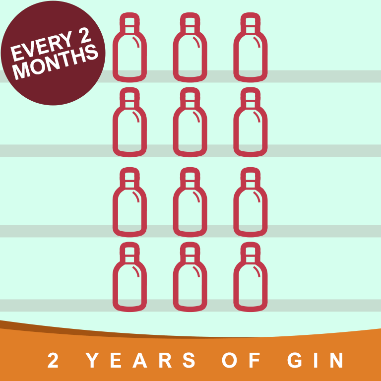 2 Years of Gin Gift every 2 Months