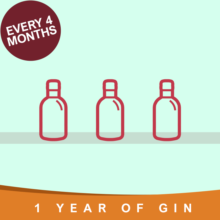 Year of Gin Gift every 4 Months