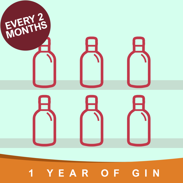 Year of Gin Gift every 2 Months